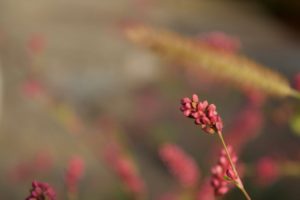 Study Shows Acupuncture is Effective at Treating Menopause